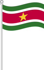 Surinaamse Lekkernijen - Ontdek de Magie van Surinaamse Lekkernijen